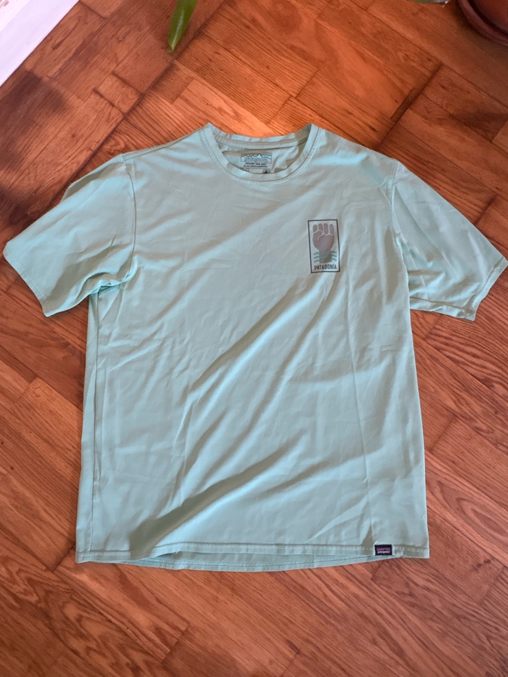 Patagonia Protect Your Peaks Capilene Mint Green Short Sleeve Graphic Tee